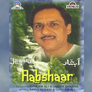 Aabshaar image