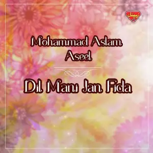 Dil Mani Jan Fida image
