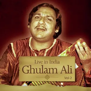 Live In India  Vol. 2 image