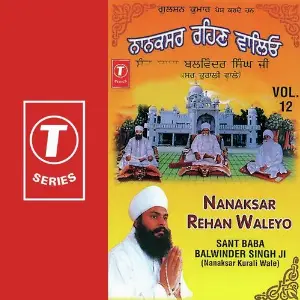 Nanaksar Rehan Waleyo (Vol. 12) image