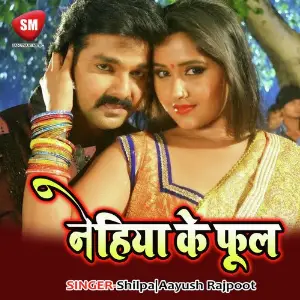Nehiya K Phool image