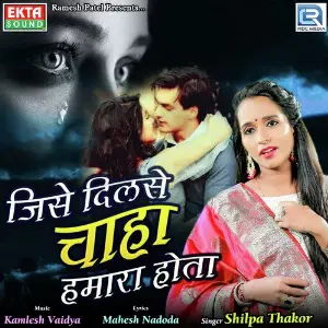 Jisse Dilse Chaha Hamara Hota image