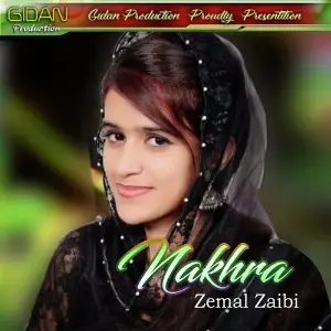 Nakhra image