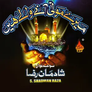 Bus Ek Rishta Hussain Se Hai, Vol. 11 image