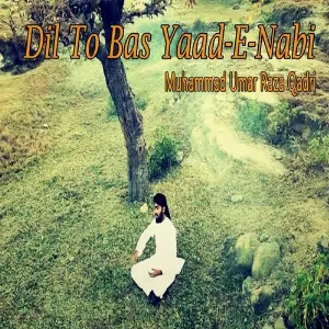 Dil To Bas Yaad-e-Nabi image