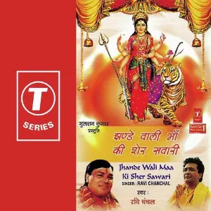 Jhande Wali Maa Ki Sher Sawari image