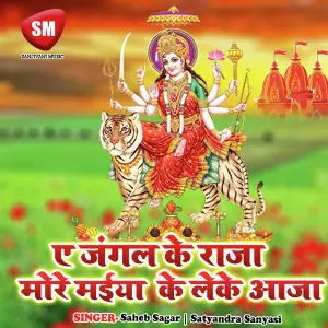 Aye Jangal Ke Raja Moro Maiya Ke Leke Aaja image