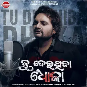 Tu Deithiba Dhoka image