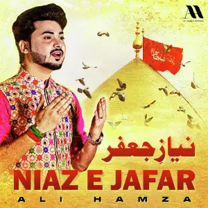 Niaz E Jafar - Single image