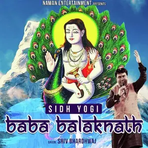 Sidhi Yogi Baba Balak Nath image