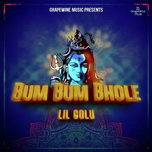 Bum Bum Bhole image