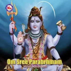Om Sree Parabrahmam image
