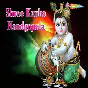 Shree Kanha Nandgopala image