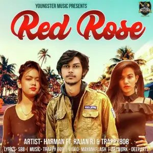 Red Rose image