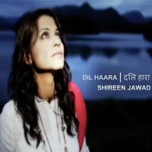 Dil Haara image
