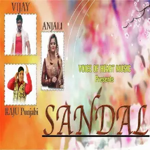 Chundadi Raju Punjabi