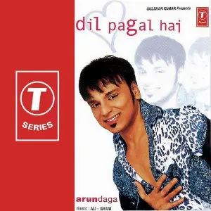 Dil Pagal Hai image