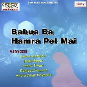 Babua Ba Hamra Pet Mai image
