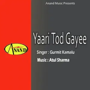 Yaari Tod Gayee image
