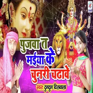 Pujwa Maiya Ke Lal chunari Chadaib image