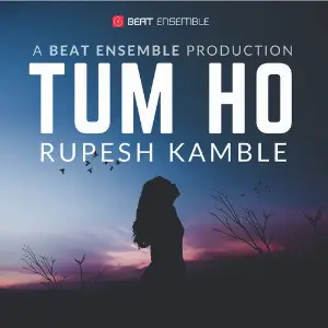 Tum Ho image