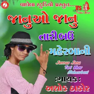 Na Rahi Saku Tara Vagar Ashok Thakor