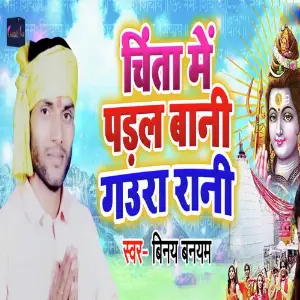 Chinta Me Padal Baani Gaura Rani image