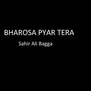 Bharosa Pyar Tera image
