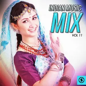Indian Music Mix, Vol. 11 image