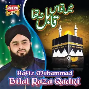 Mein Tou Iss Qabil Na Tha image