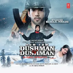 Hum Tum Dushman Dushman image