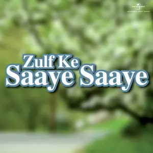 Zulf Ke Saaye Saaye image