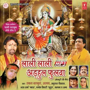 Laali Laali Addhul Phoolwa image