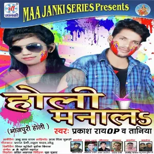 Holi Manal image