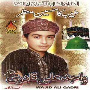 Taiba Ka Haseen Manzar image
