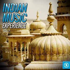 Indian Music Experience, Vol. 2 image