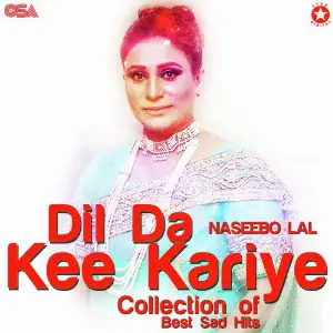 Dil Da Kee Kariye - Collection of Best Sad Hits image