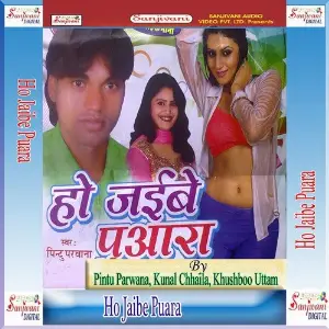Ho Jaibe Puara image