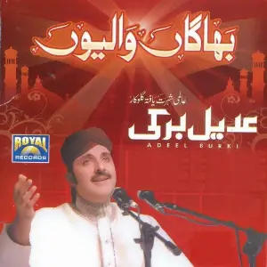Bhagan Waliyoun image