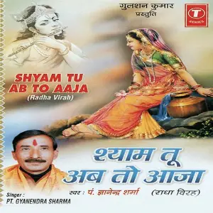 Shyam Tu Ab To Aaja image
