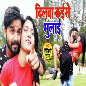 Dilwa Kaise Bhulai Dildar Ke image