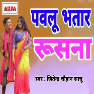 Pawlu Bhatar Rushna image