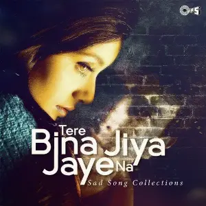 Tere Bina Jiya Jaaye Na - Sad Songs Collection image