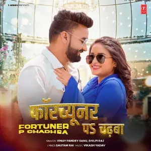 Fortuner P Chadhba image