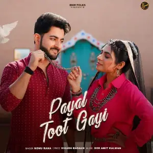 Payal Toot Gayi image