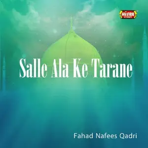 Salle Ala Ke Tarane image