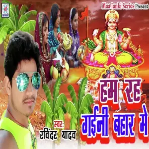 Hum Rah Gaini Bahar Me image