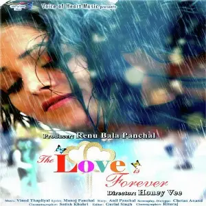 The Love is Forever image