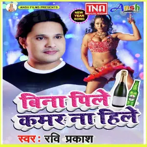 Bina Pile Kamar Na Hile image