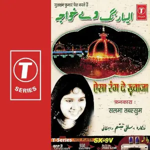 Aisa Rang De Khwaja image